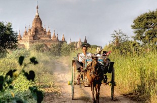 Bagan333