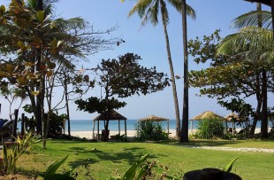 Ngwe Saung-Palm Beach2