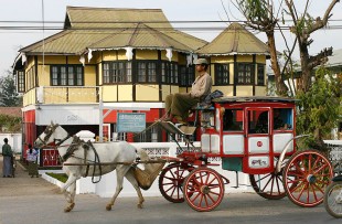 horse-and-cart-pyin-oo-lwin