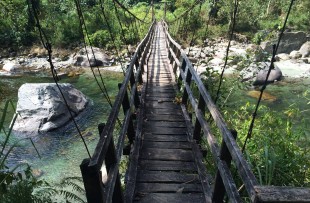 putao-bridge