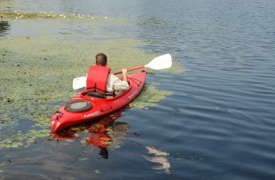 sportist-relaxing-canoe-ride-on-a-quiet-river